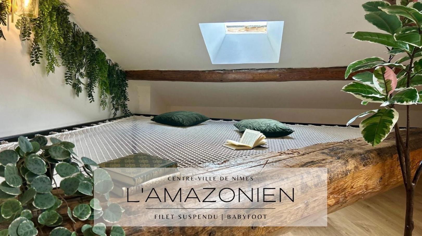 L'Amazonien - Baby-Foot Et Filet De Detente ! Nîmes Dış mekan fotoğraf